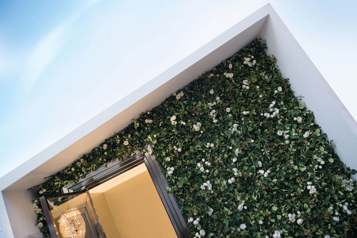 Вертикальный сад VERTICAL GARDEN