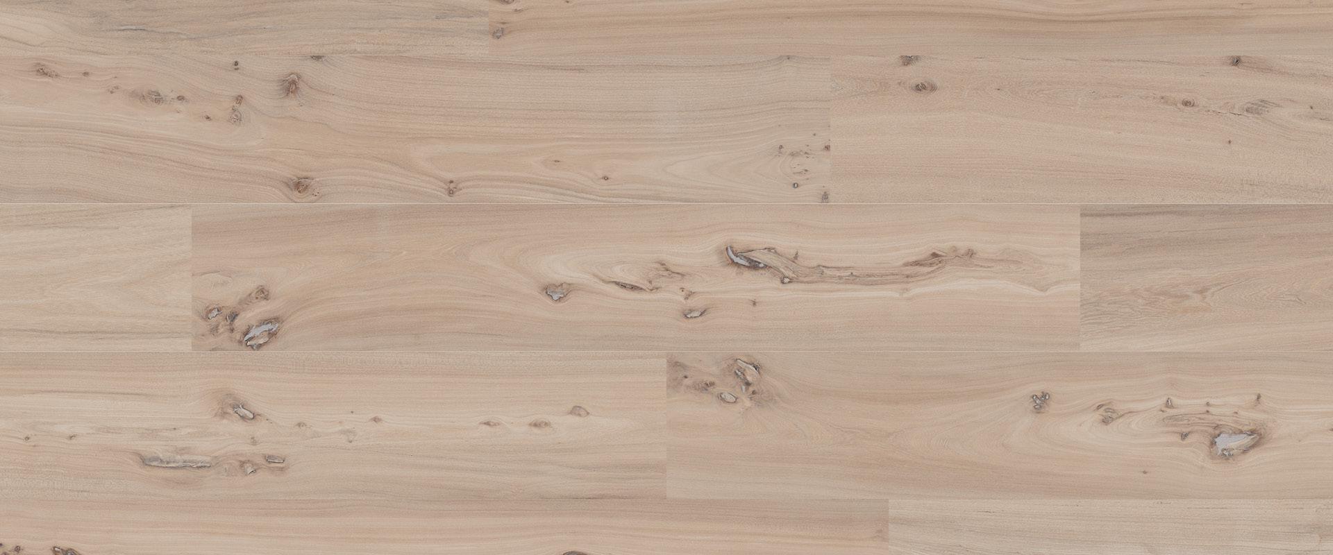 Olmo Naturale