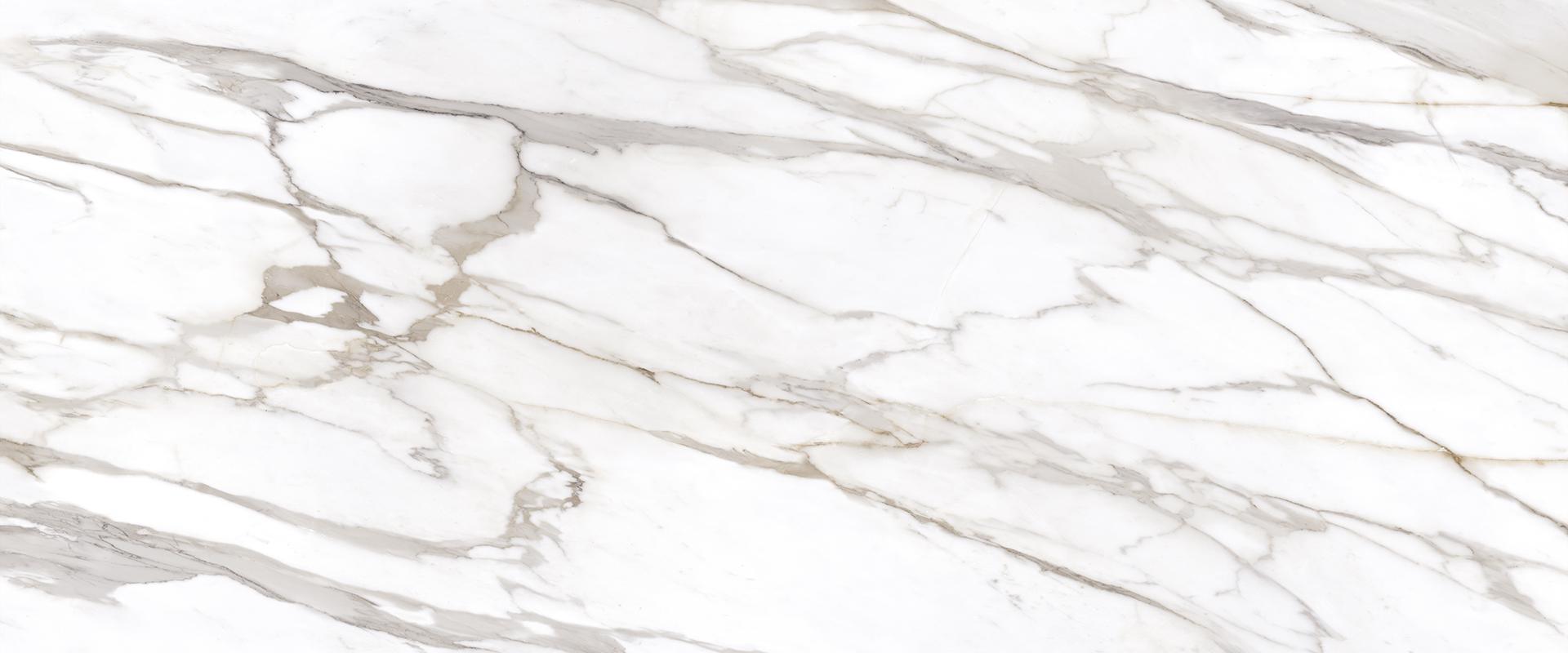 Calacatta Gold Canova
